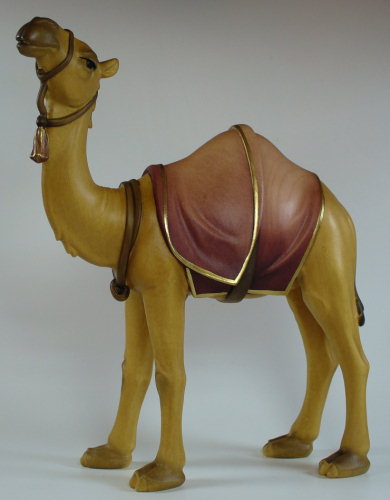 4595 Ar - Kamel stehend