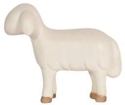 910260 Le - Schaf stehend vorwärtsschauend